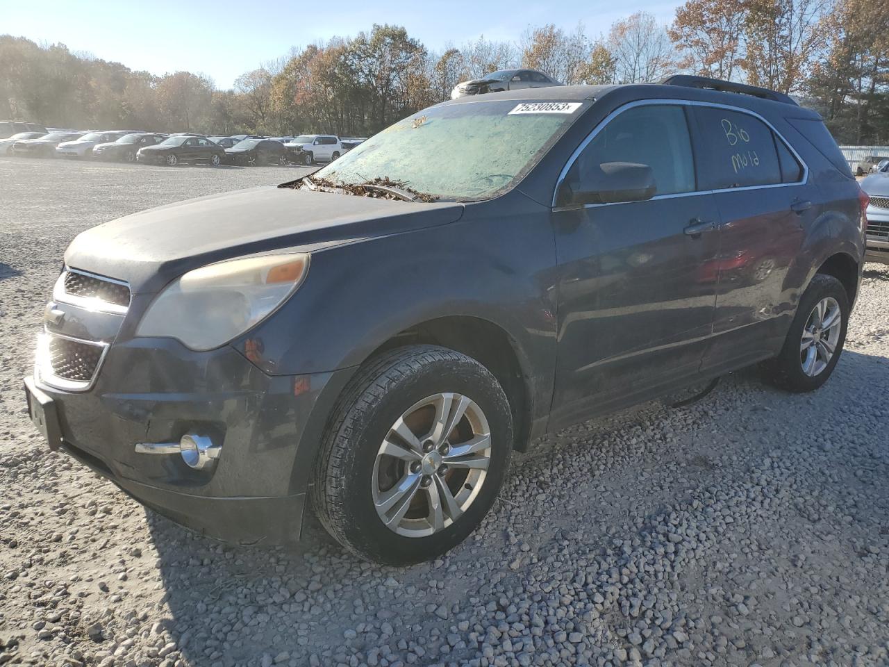 2010 Chevrolet Equinox Lt VIN: 2CNFLNEW3A6229546 Lot: 75230853