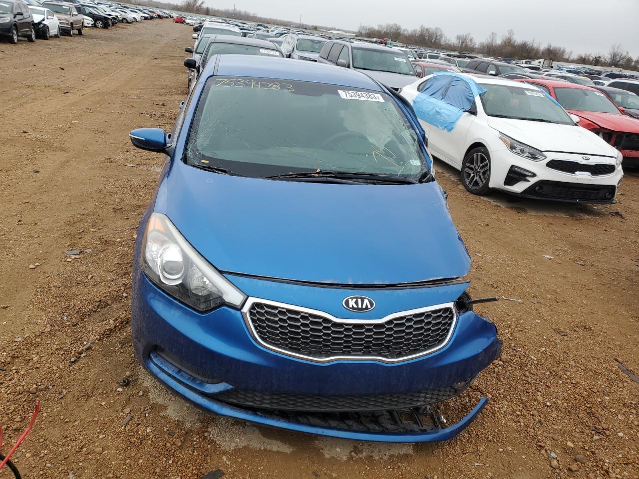 2014 Kia Forte Lx VIN: KNAFX4A69E5069812 Lot: 75394383