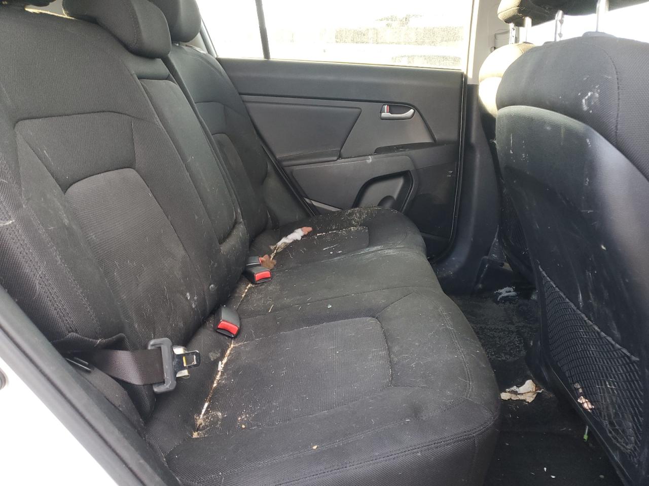 2011 Kia Sportage Lx VIN: KNDPBCA24B7042000 Lot: 77089453