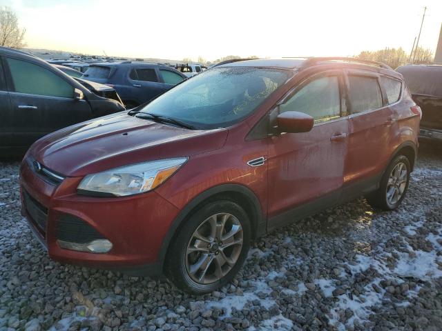  FORD ESCAPE 2014 Красный