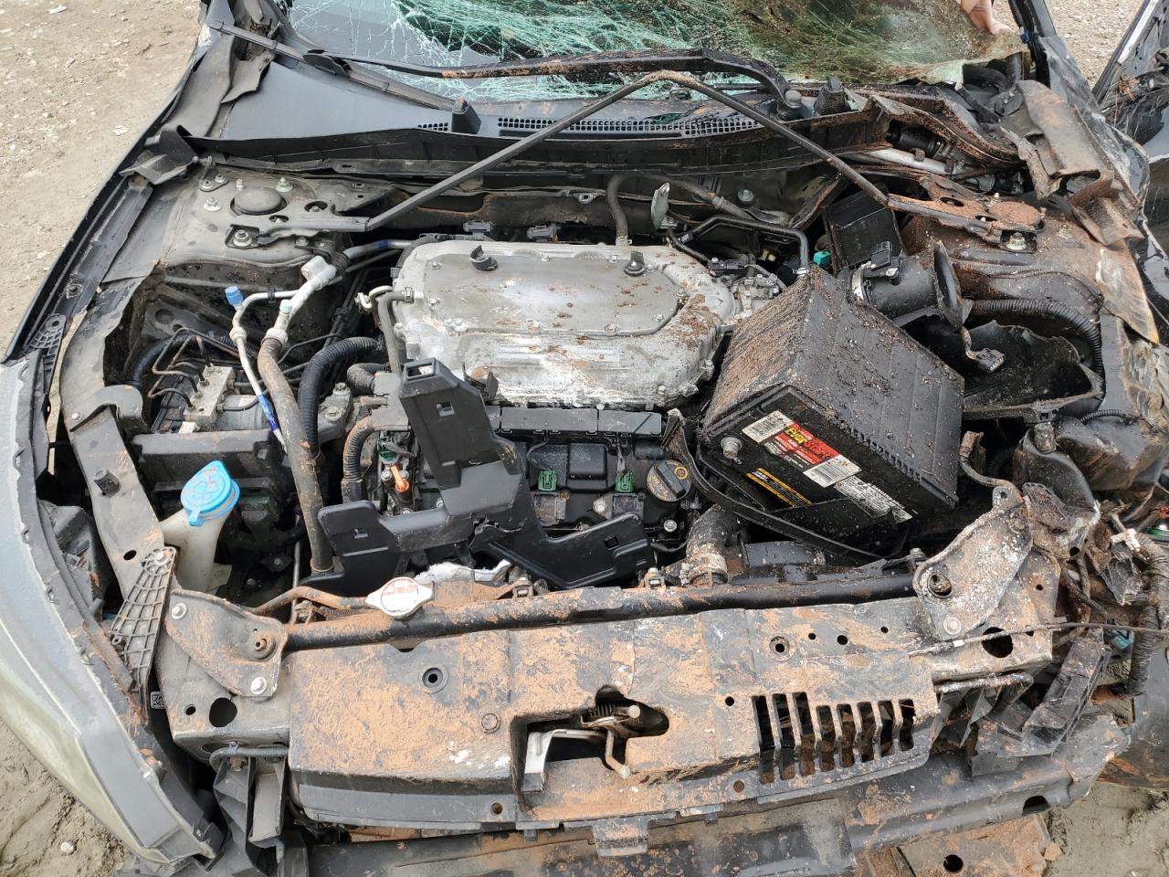 1HGCR3F85DA006489 2013 Honda Accord Exl