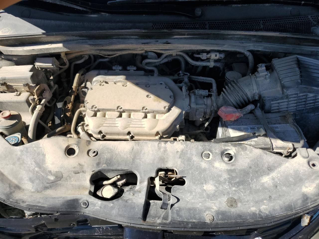 2010 Honda Odyssey Exl VIN: 5FNRL3H65AB001916 Lot: 78291473