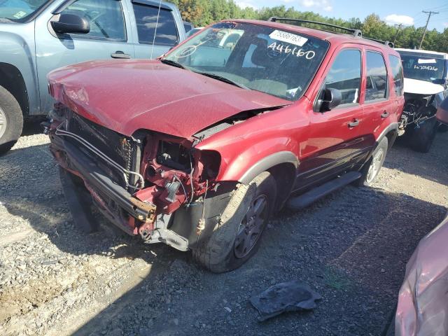 2004 Ford Escape Xlt zu verkaufen in Shreveport, LA - Front End