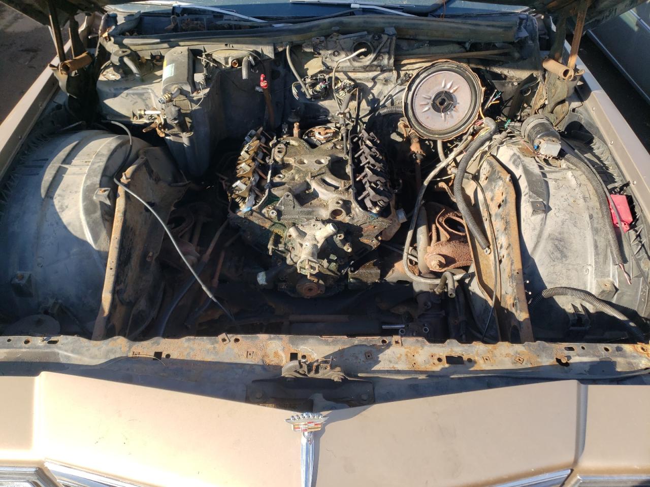 1984 Cadillac Deville VIN: 1G6AM6987E9128309 Lot: 60395434