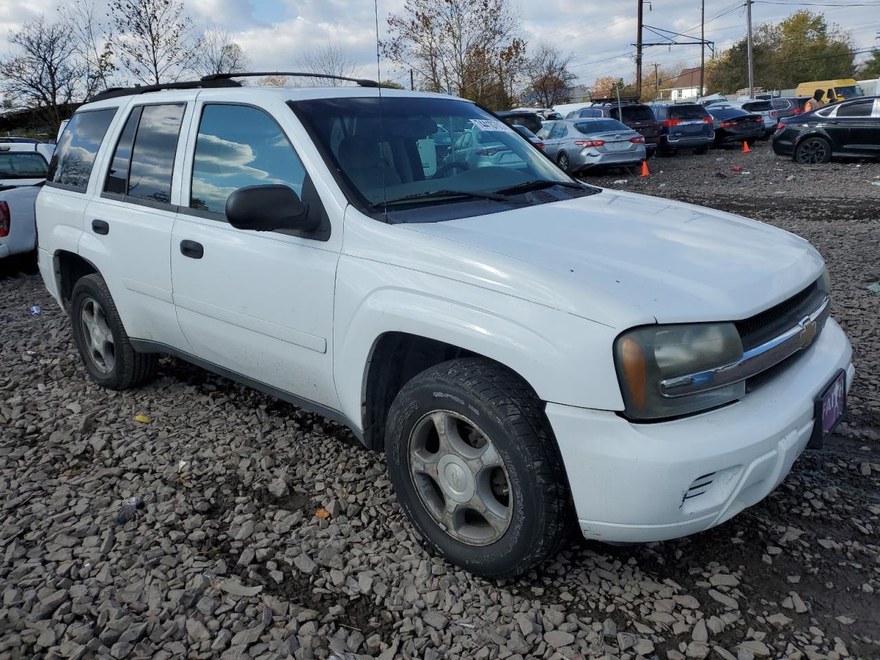 1GNDT13S882174398 2008 Chevrolet Trailblazer Ls