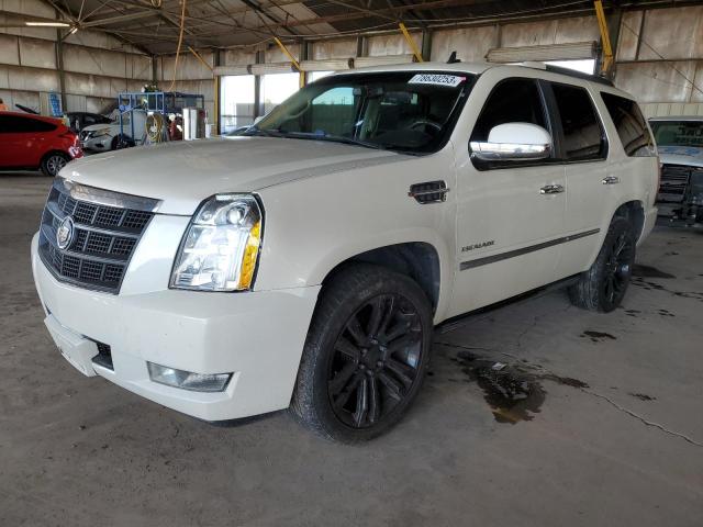 2013 Cadillac Escalade Platinum