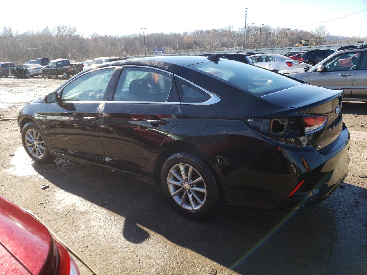 2019 Hyundai Sonata Se VIN: 5NPE24AFXKH736556 Lot: 77963983