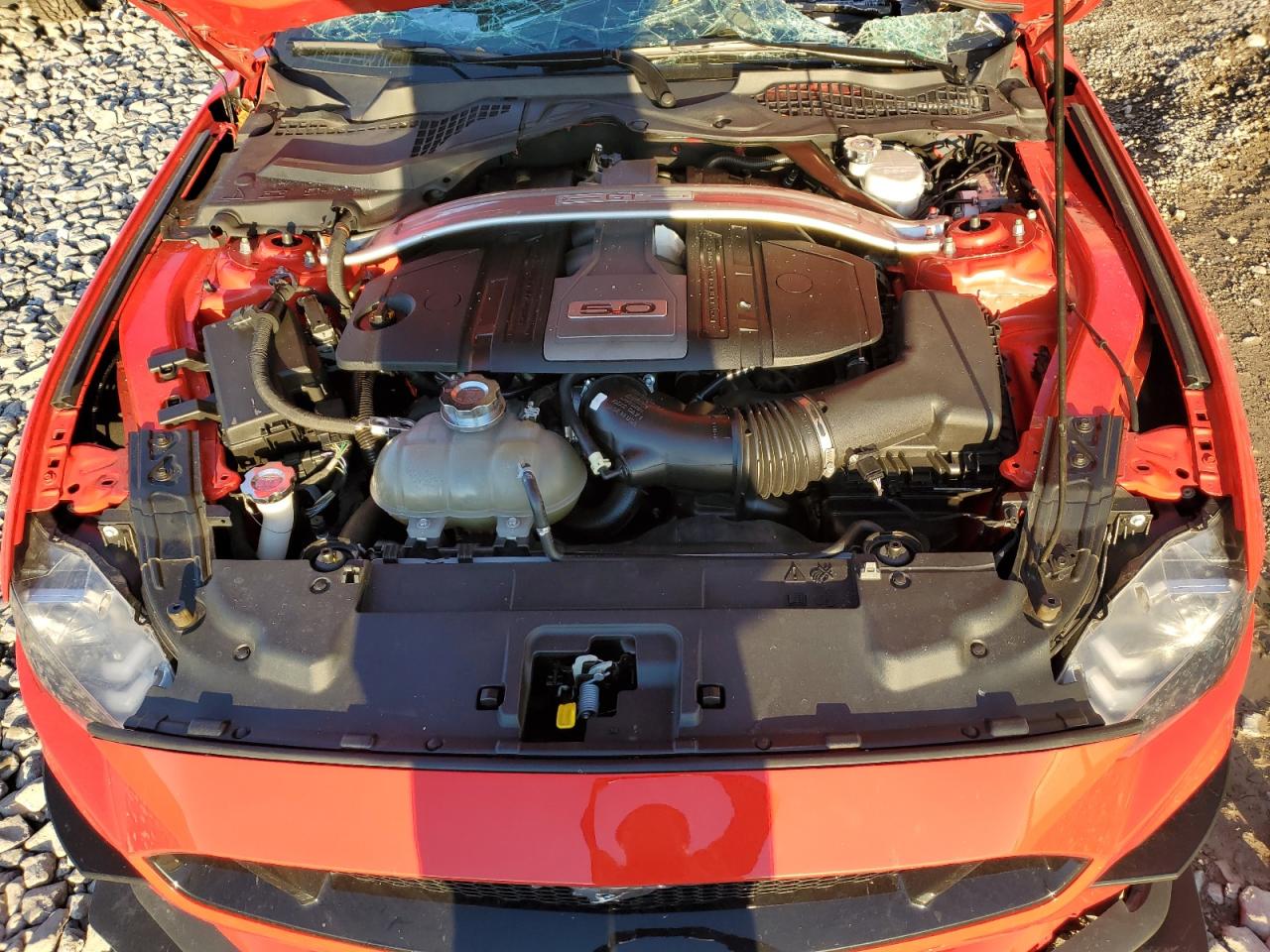 2020 Ford Mustang Gt VIN: 1FA6P8CF7L5151774 Lot: 74292563