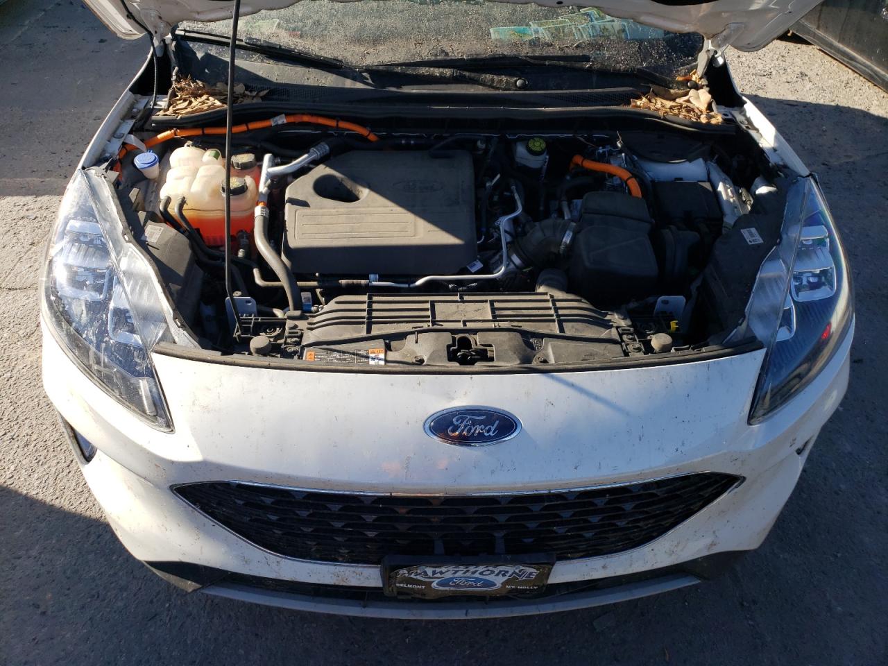 2020 Ford Escape Titanium VIN: 1FMCU0DZ2LUA46125 Lot: 58097324