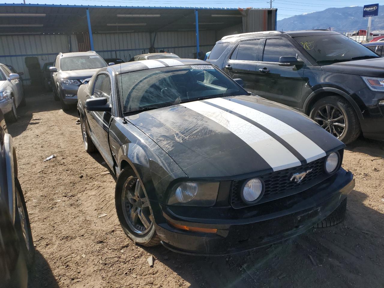 2005 Ford Mustang Gt VIN: 1ZVFT82H755242262 Lot: 76313233