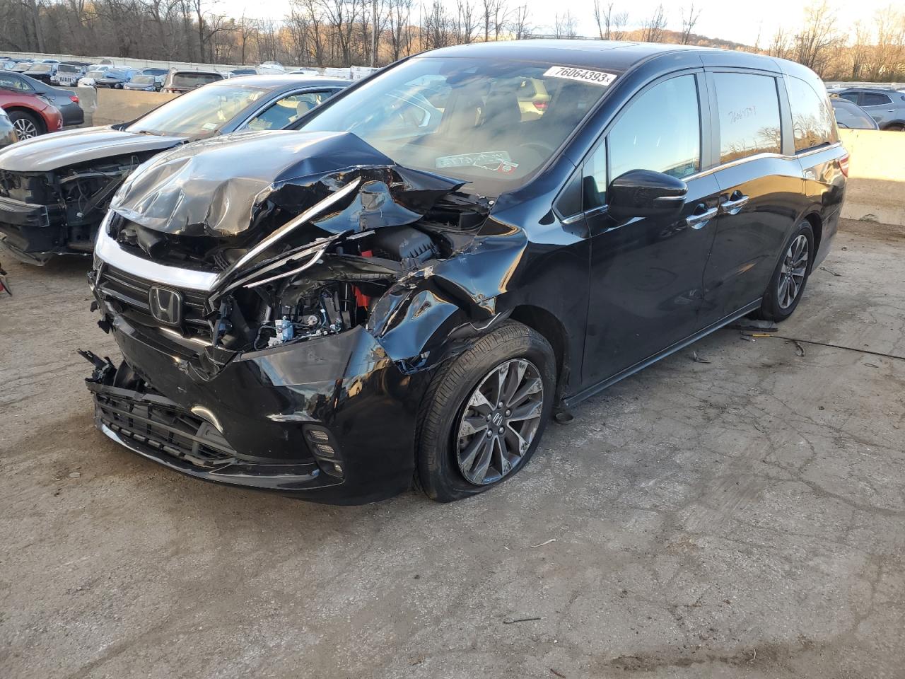 2023 Honda Odyssey Exl VIN: 5FNRL6H60PB036552 Lot: 76064393