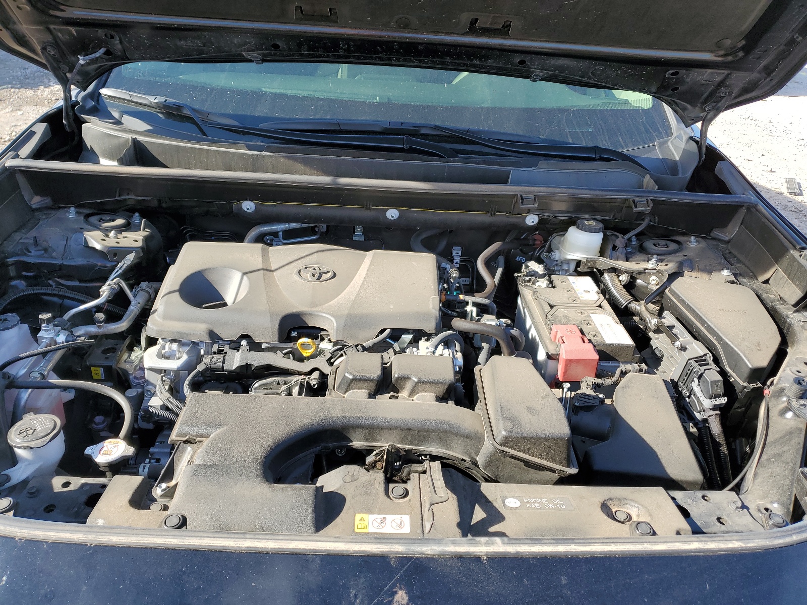 JTMP1RFV5PD096259 2023 Toyota Rav4 Xle