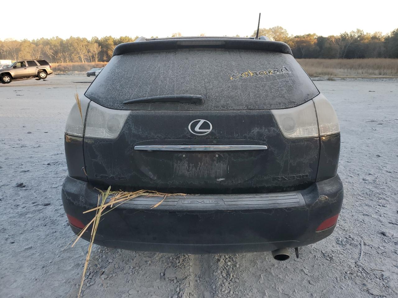 2004 Lexus Rx 330 VIN: 2T2HA31U14C039352 Lot: 75080373