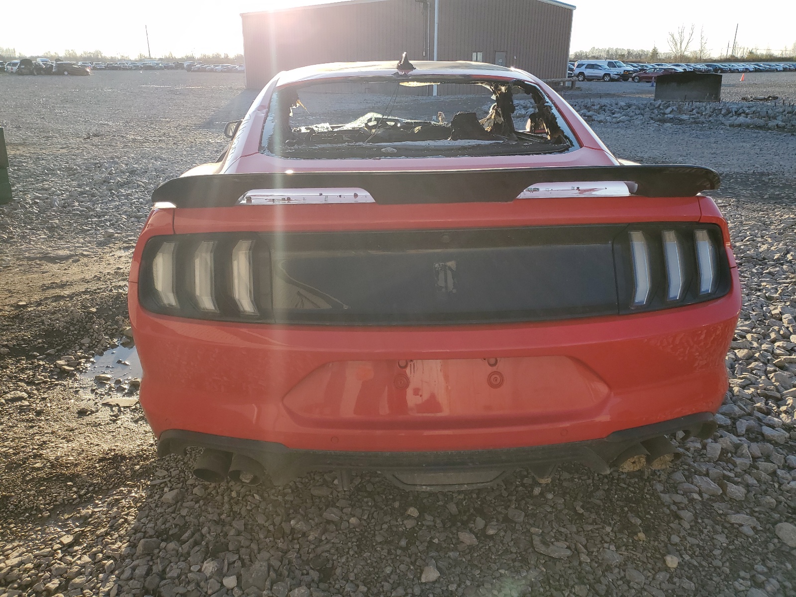 1FA6P8CF7L5151774 2020 Ford Mustang Gt