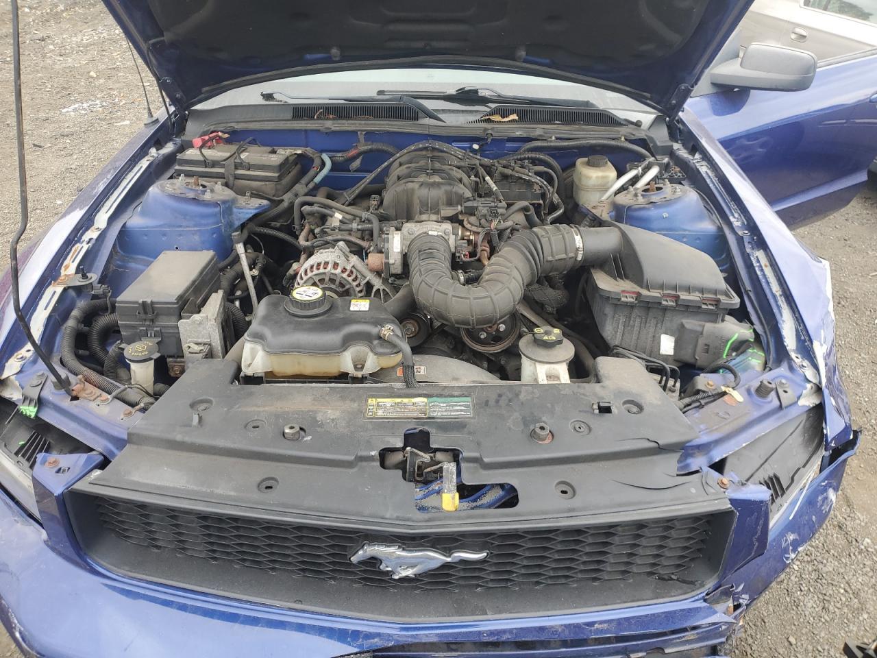 2005 Ford Mustang VIN: 1ZVFT80N055256822 Lot: 89616725