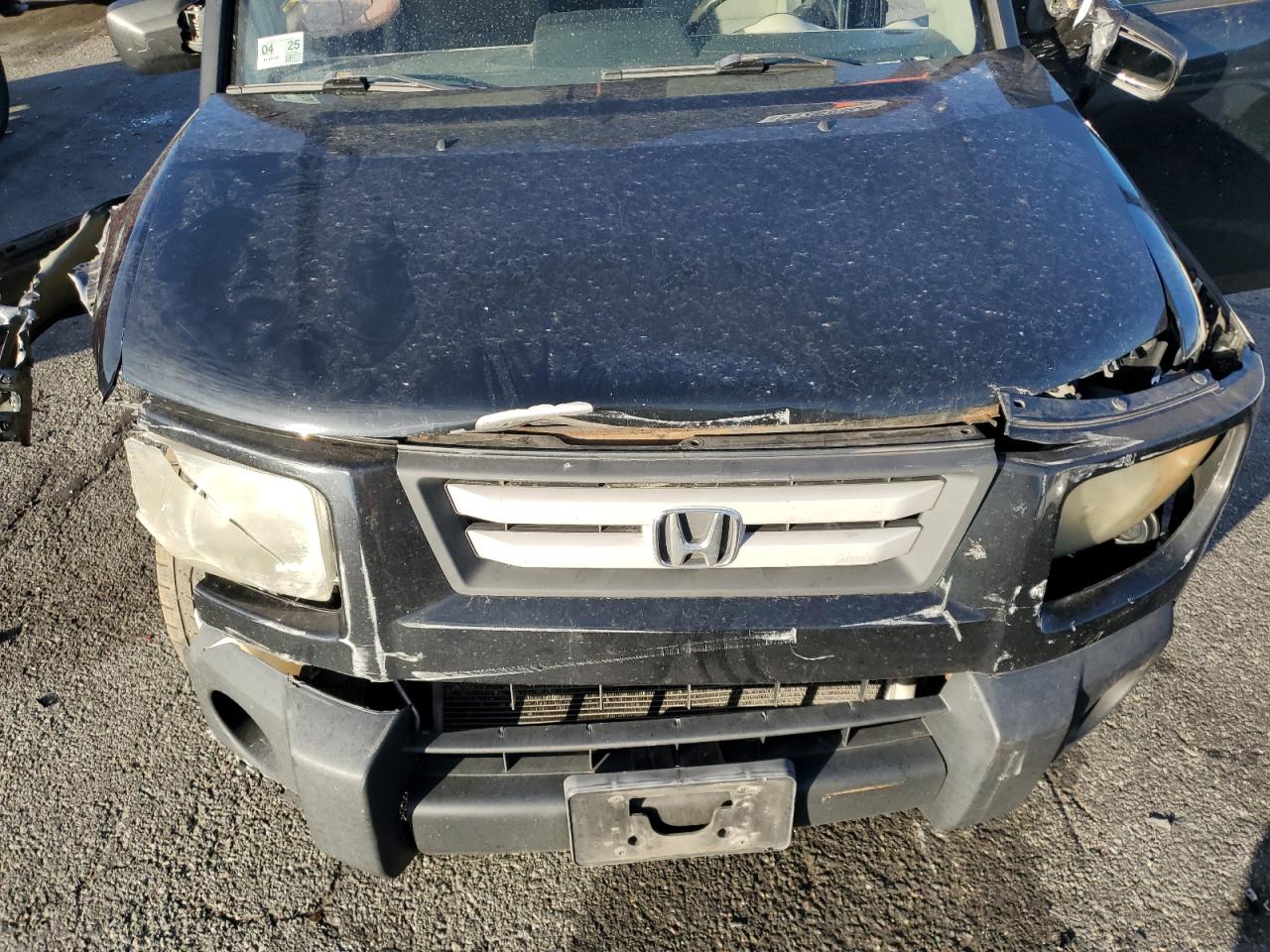 2007 Honda Element Ex VIN: 5J6YH28757L001012 Lot: 81263984