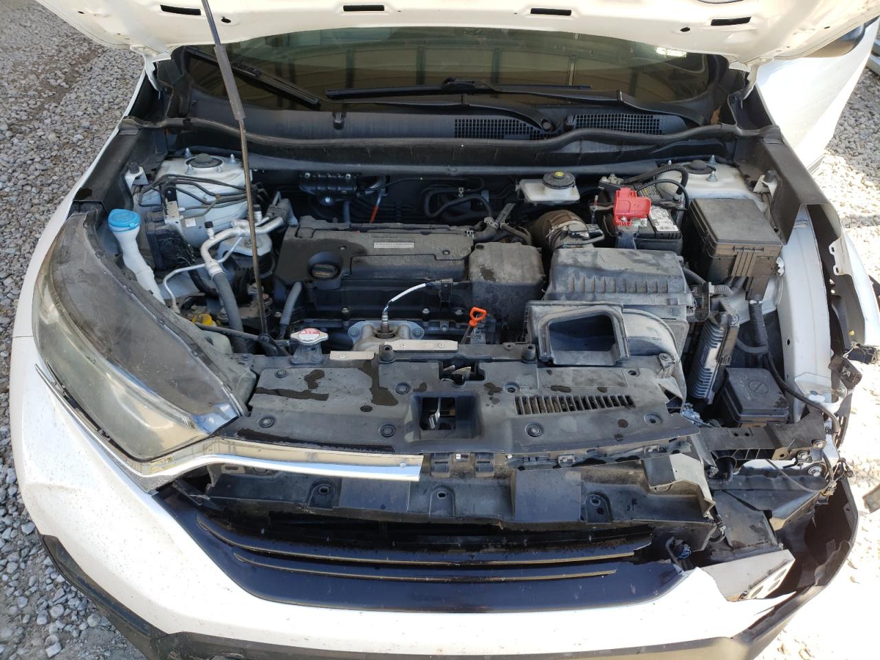 2019 Honda CR-V - Image 12