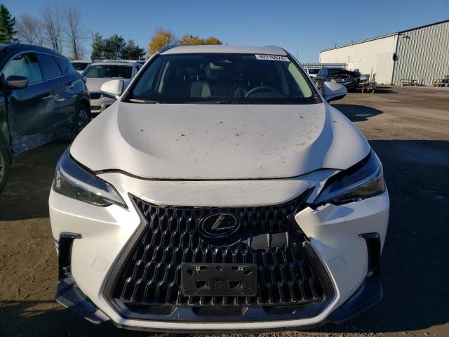 2023 LEXUS NX 250