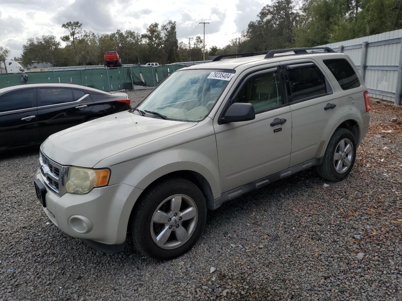 2009 Ford Escape Xlt VIN: 1FMCU03G89KA86696 Lot: 79235404