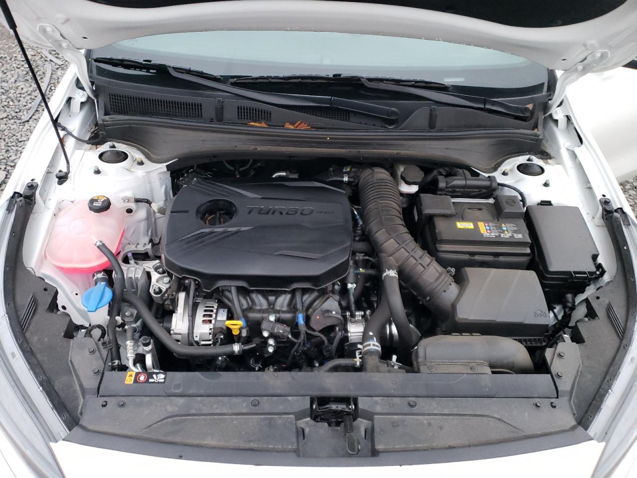 2024 Kia Forte - Image 11