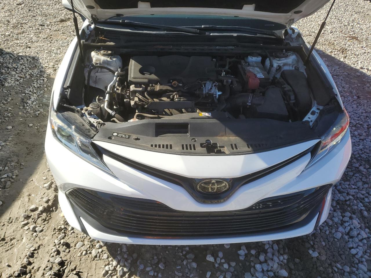 2019 Toyota Camry L VIN: 4T1B11HK1KU756820 Lot: 81268984