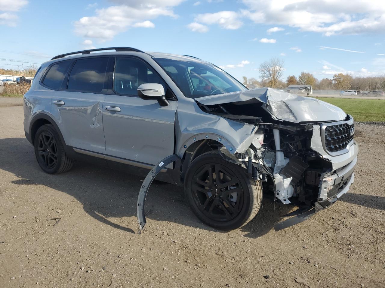 2023 Kia Telluride Ex VIN: 5XYP3DGC7PG405418 Lot: 79412204