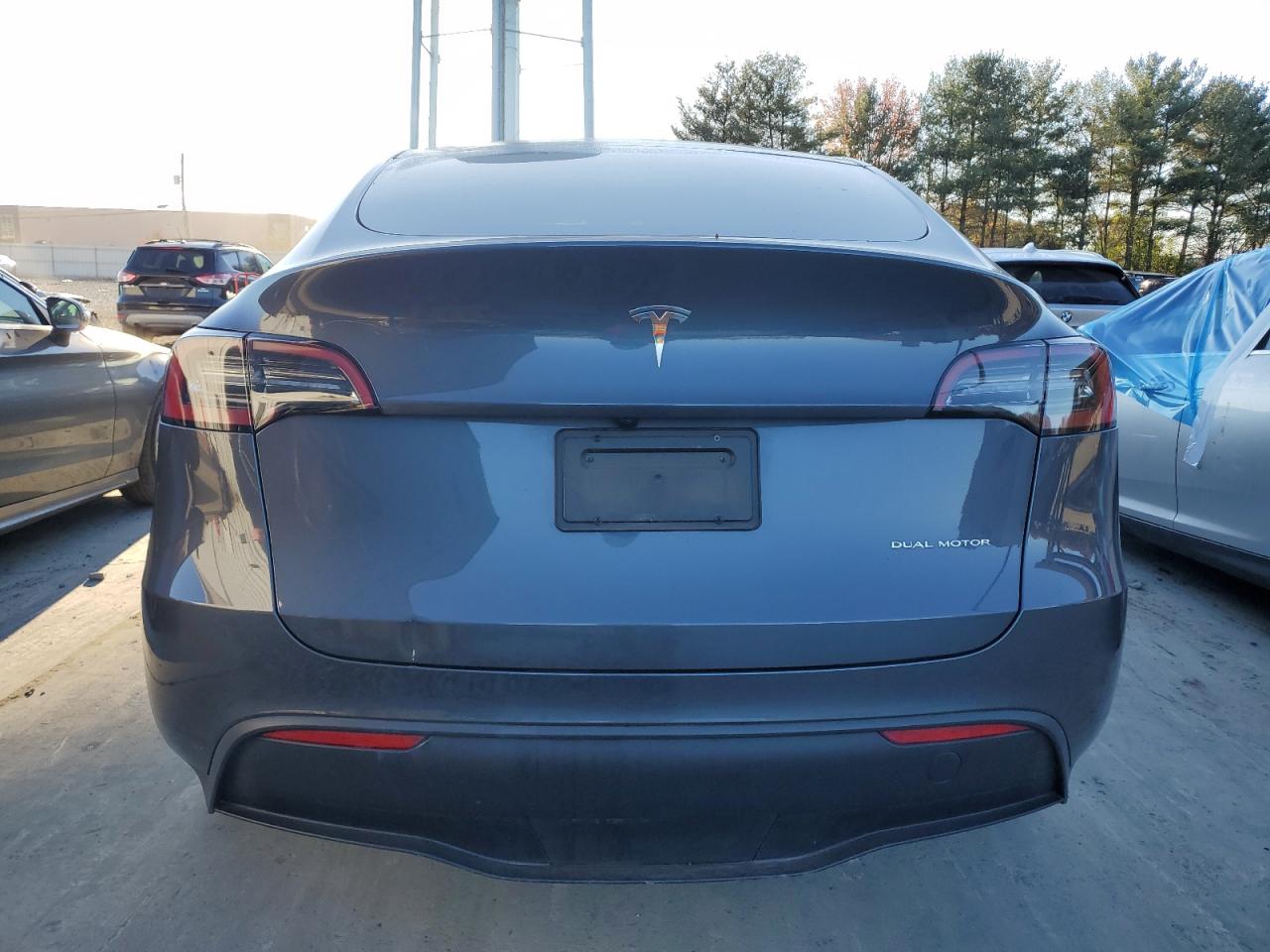 2023 Tesla Model Y VIN: 7SAYGAEE7PF950170 Lot: 79513654