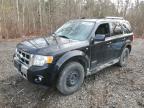 2008 Ford Escape Limited zu verkaufen in Cookstown, ON - Normal Wear