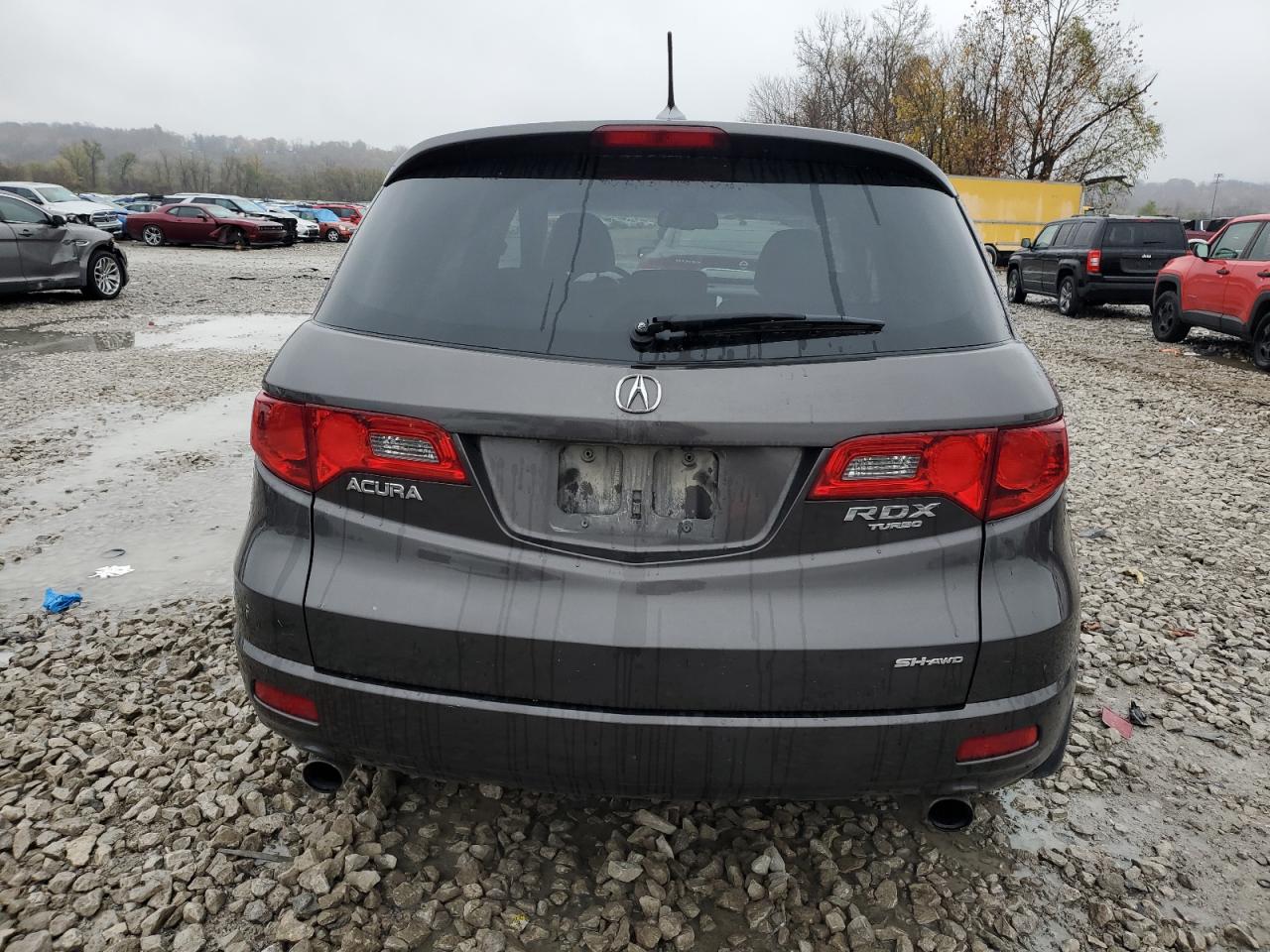 2009 Acura Rdx Technology VIN: 5J8TB18569A002874 Lot: 80229084