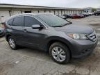 2013 Honda Cr-V Exl zu verkaufen in Louisville, KY - Minor Dent/Scratches