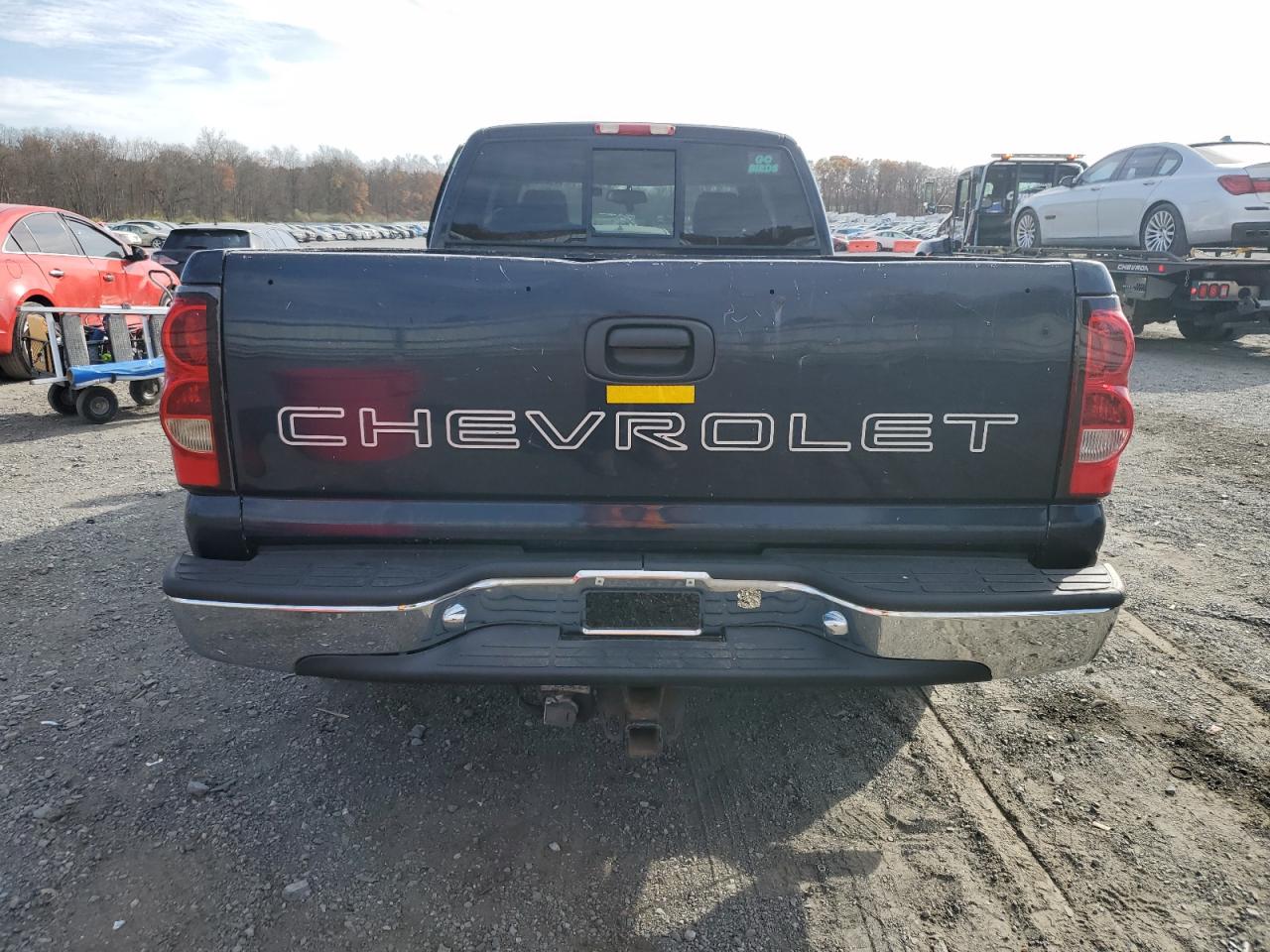 2006 Chevrolet Silverado C1500 VIN: 1GCEC19Z66E224115 Lot: 79250084