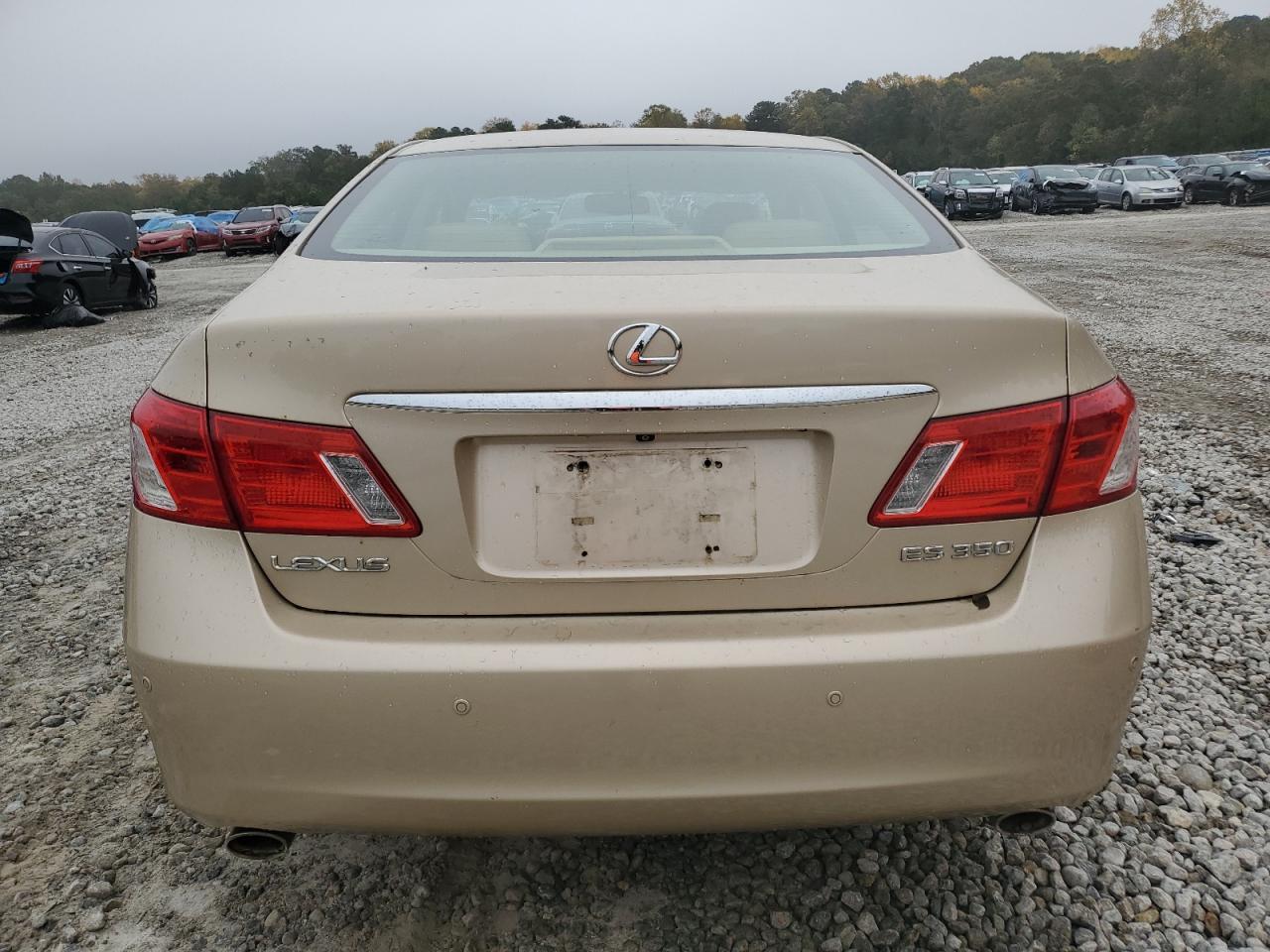 2007 Lexus Es 350 VIN: JTHBJ46G072071889 Lot: 80227354