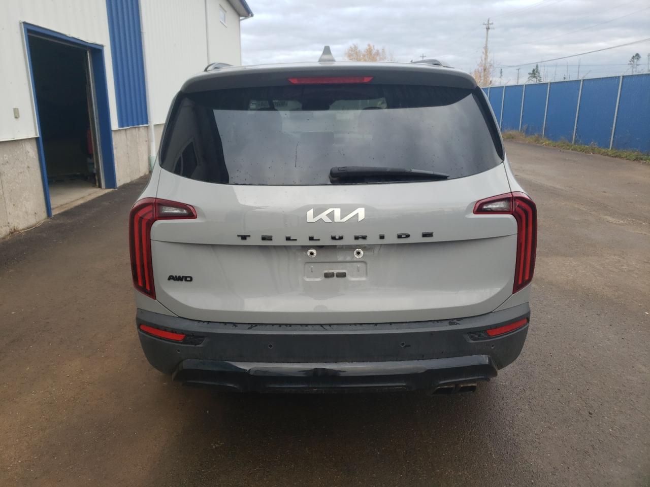 2022 Kia Telluride Sx VIN: 5XYP5DHC2NG262674 Lot: 80206154