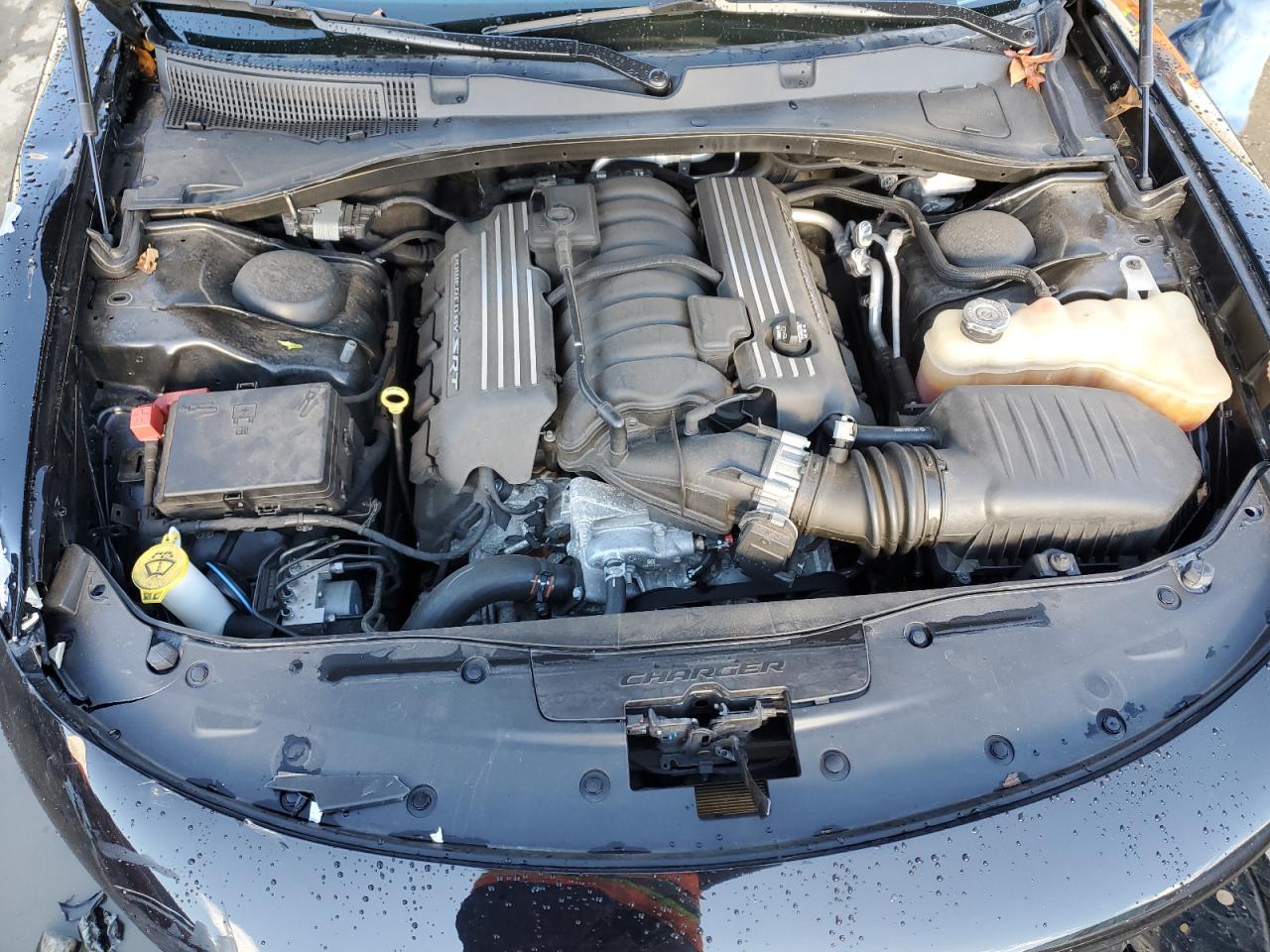 2021 Dodge Charger Scat Pack VIN: 2C3CDXGJXMH515263 Lot: 81563684