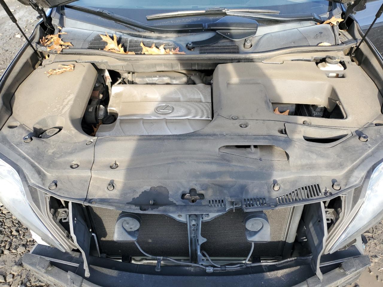 2010 Lexus RX - Image 12
