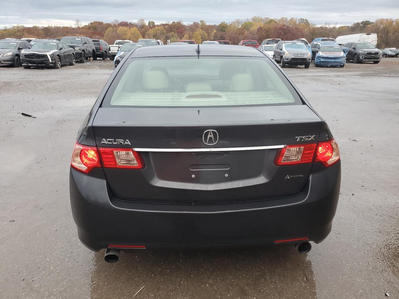 2012 Acura Tsx VIN: JH4CU2F45CC011973 Lot: 77455804