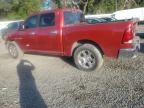 2009 Dodge Ram 1500  продається в Riverview, FL - Water/Flood