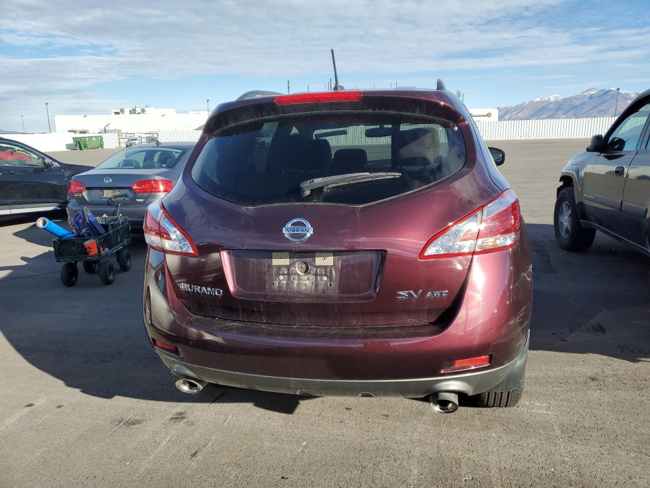 2013 Nissan Murano S VIN: JN8AZ1MW9DW303459 Lot: 81485584