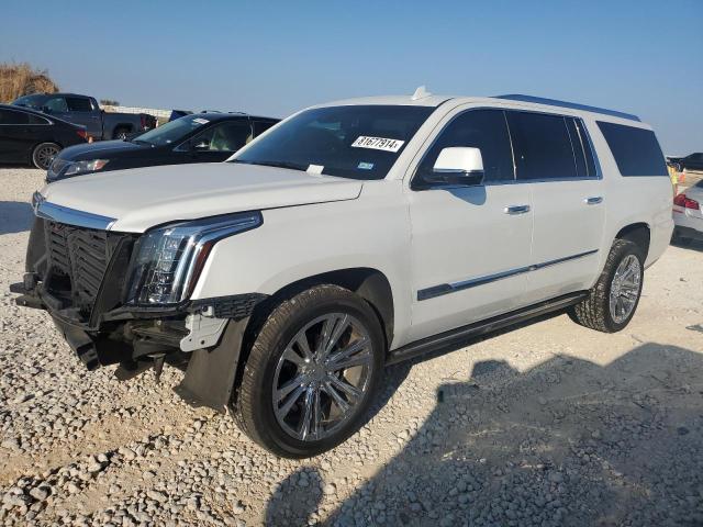 2016 Cadillac Escalade Esv Platinum