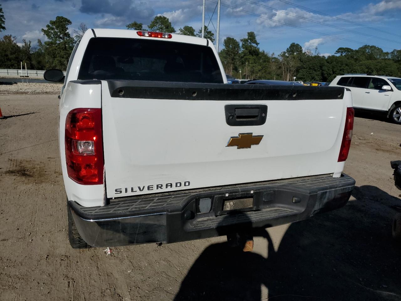 2013 Chevrolet Silverado C1500 Lt VIN: 3GCPCSE0XDG206356 Lot: 82369524