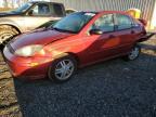 2004 Ford Focus Se Comfort zu verkaufen in Spartanburg, SC - Rear End