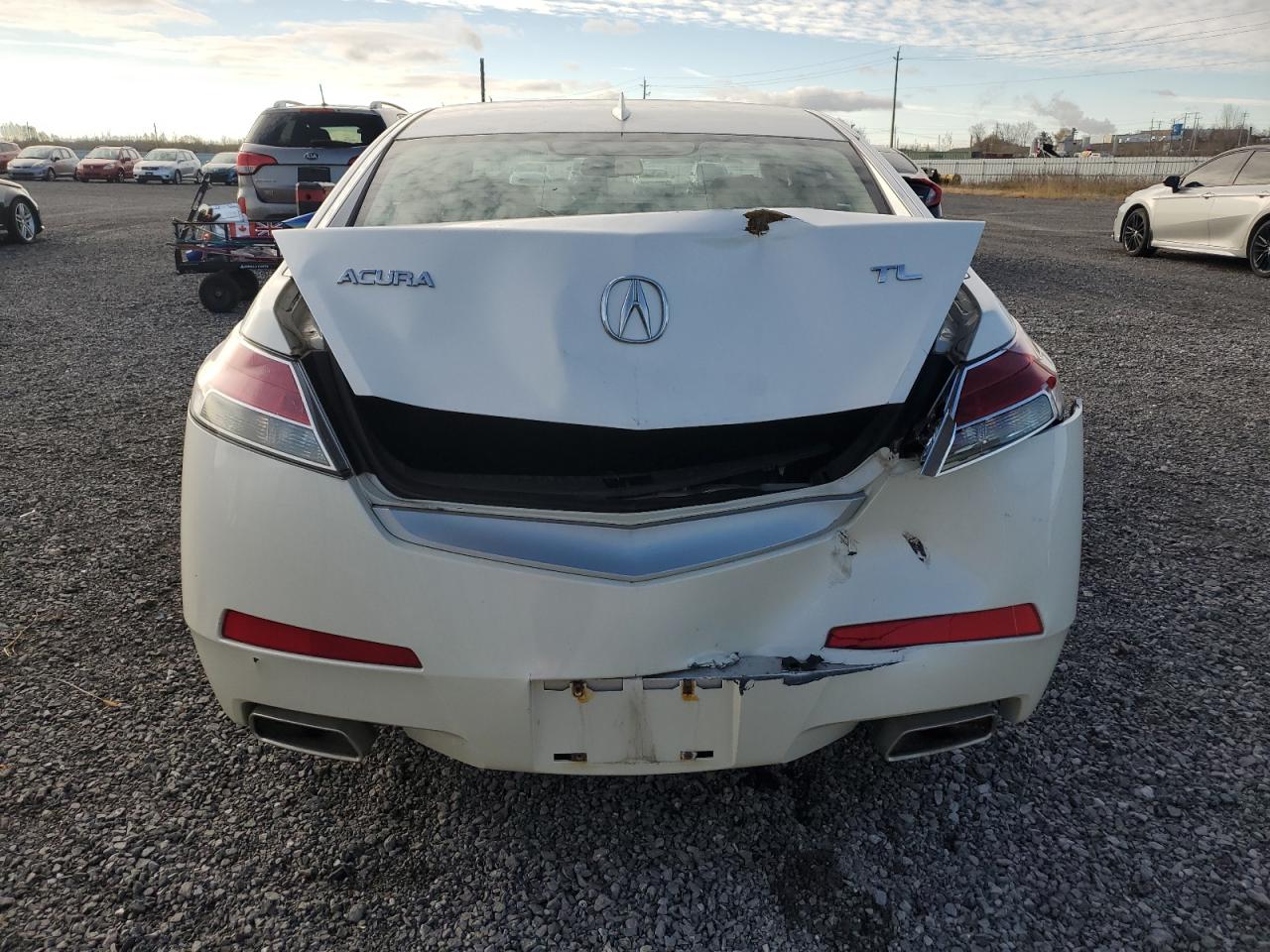 2010 Acura Tl VIN: 19UUA8F23AA800746 Lot: 79739994