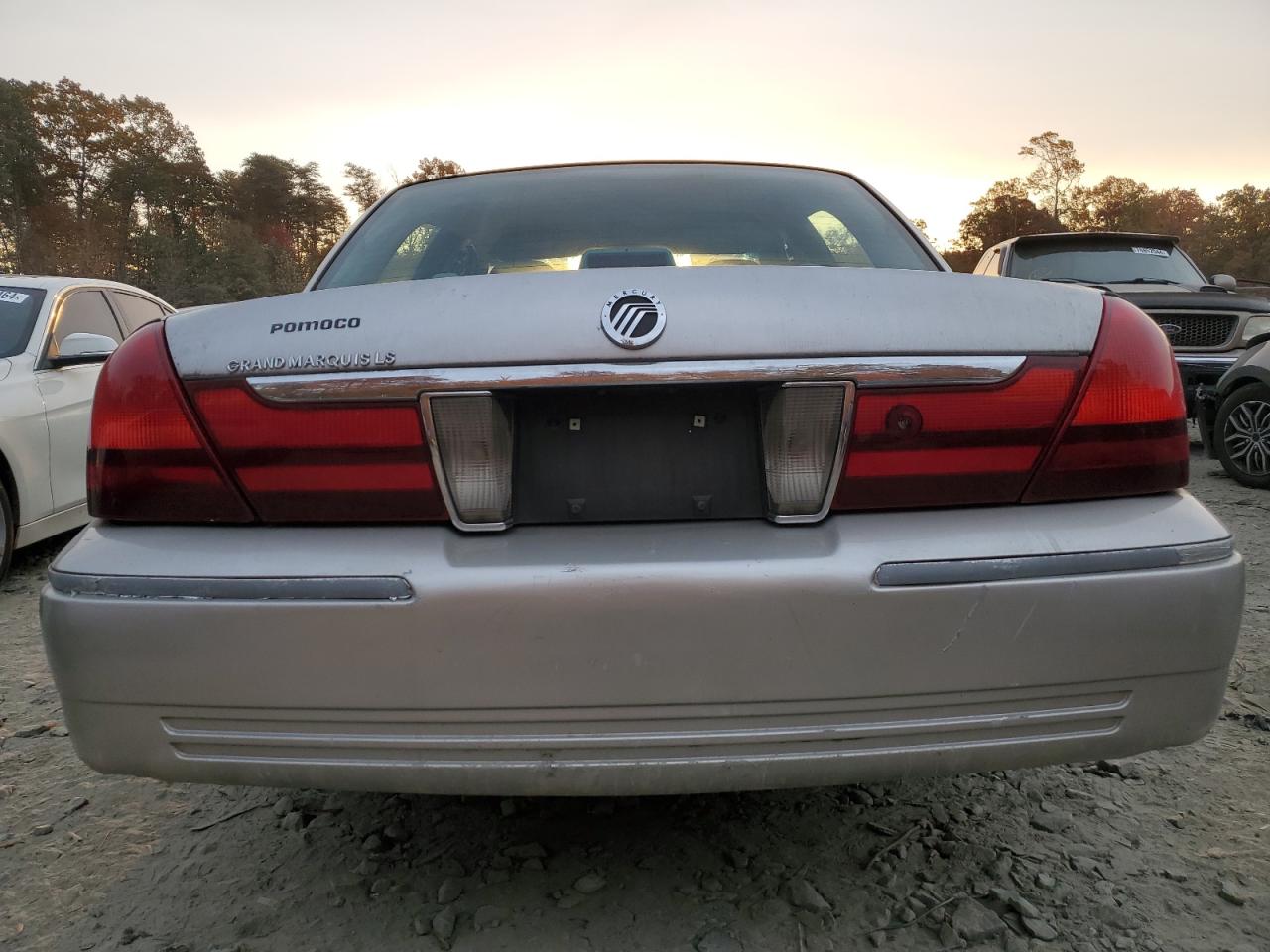 2004 Mercury Grand Marquis Ls VIN: 2MEFM75W24X629799 Lot: 78983124