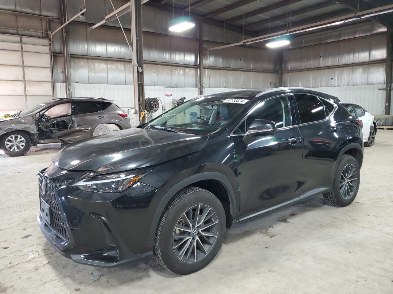 2023 Lexus NX - Image 1