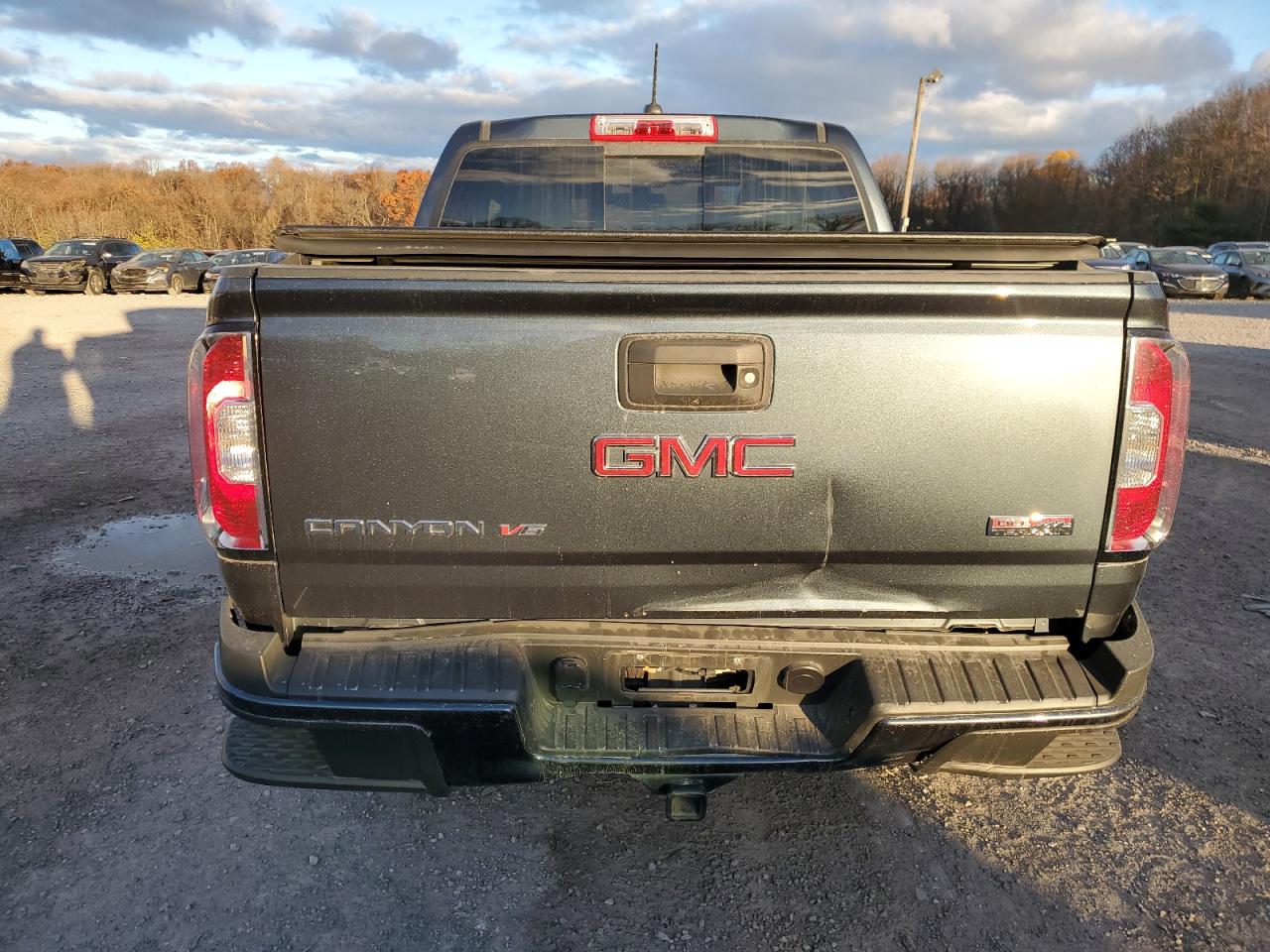 2020 GMC Canyon All Terrain VIN: 1GTG6FEN0L1173679 Lot: 79684354