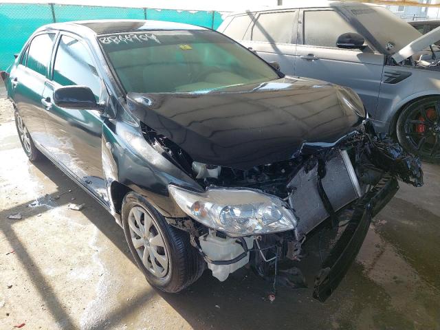 JTDBR42E3AJ018146 - 2010 TOYOTA COROLLA - #81866904