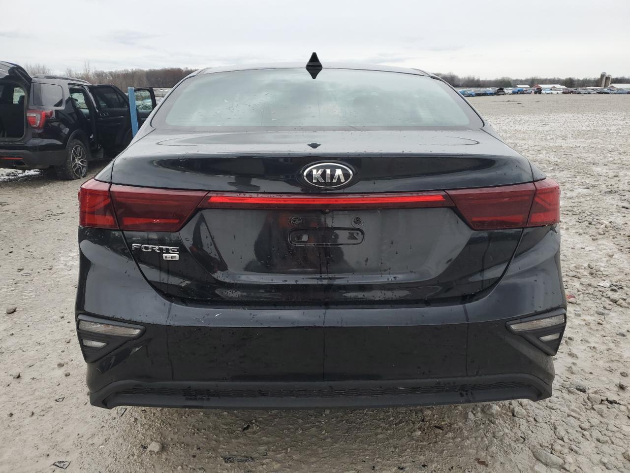 2020 Kia Forte Fe VIN: 3KPF24AD2LE208213 Lot: 80943514