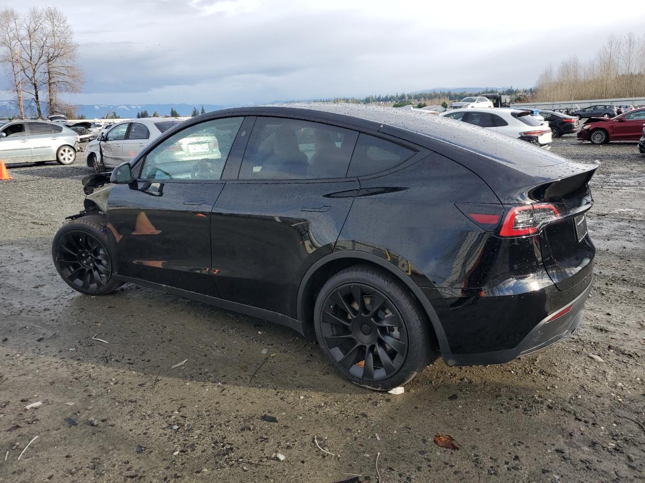 VIN 7SAYGDEE3PF912209 2023 TESLA MODEL Y no.2