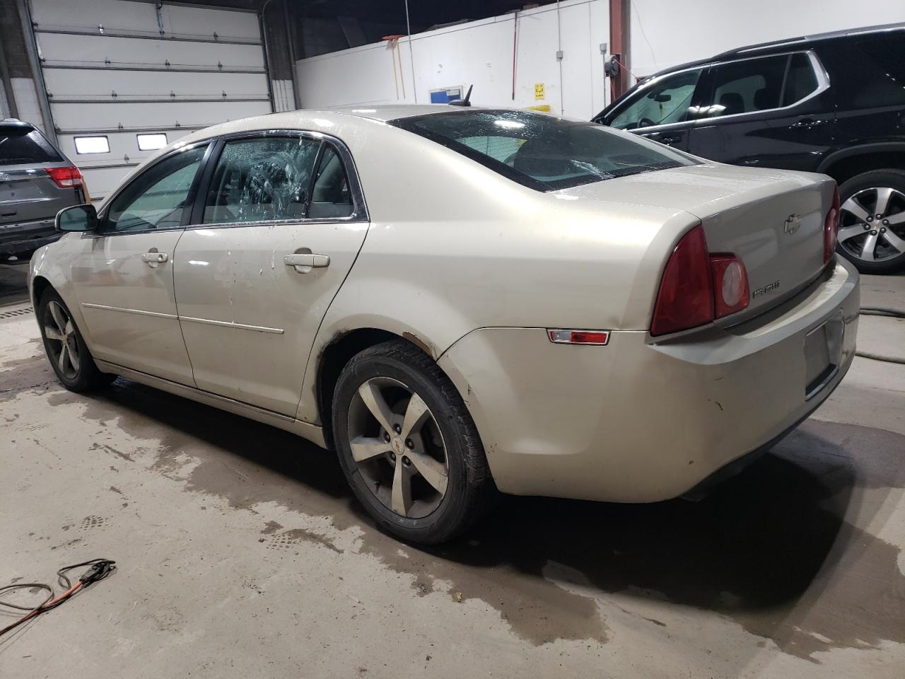 2011 Chevrolet Malibu 1Lt VIN: 1G1ZC5E19BF255039 Lot: 81151934