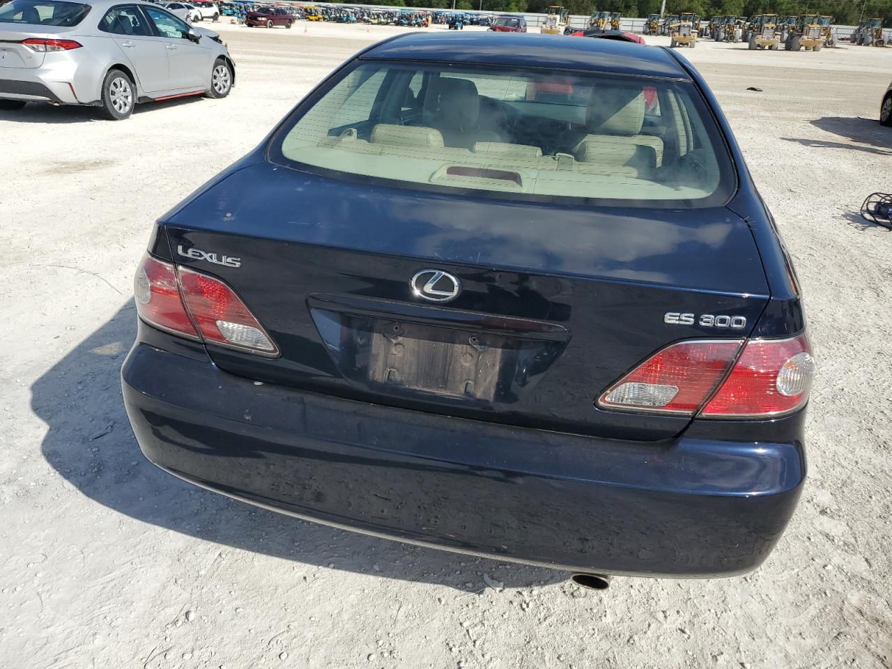 2002 Lexus Es 300 VIN: JTHBF30G225029736 Lot: 81055634